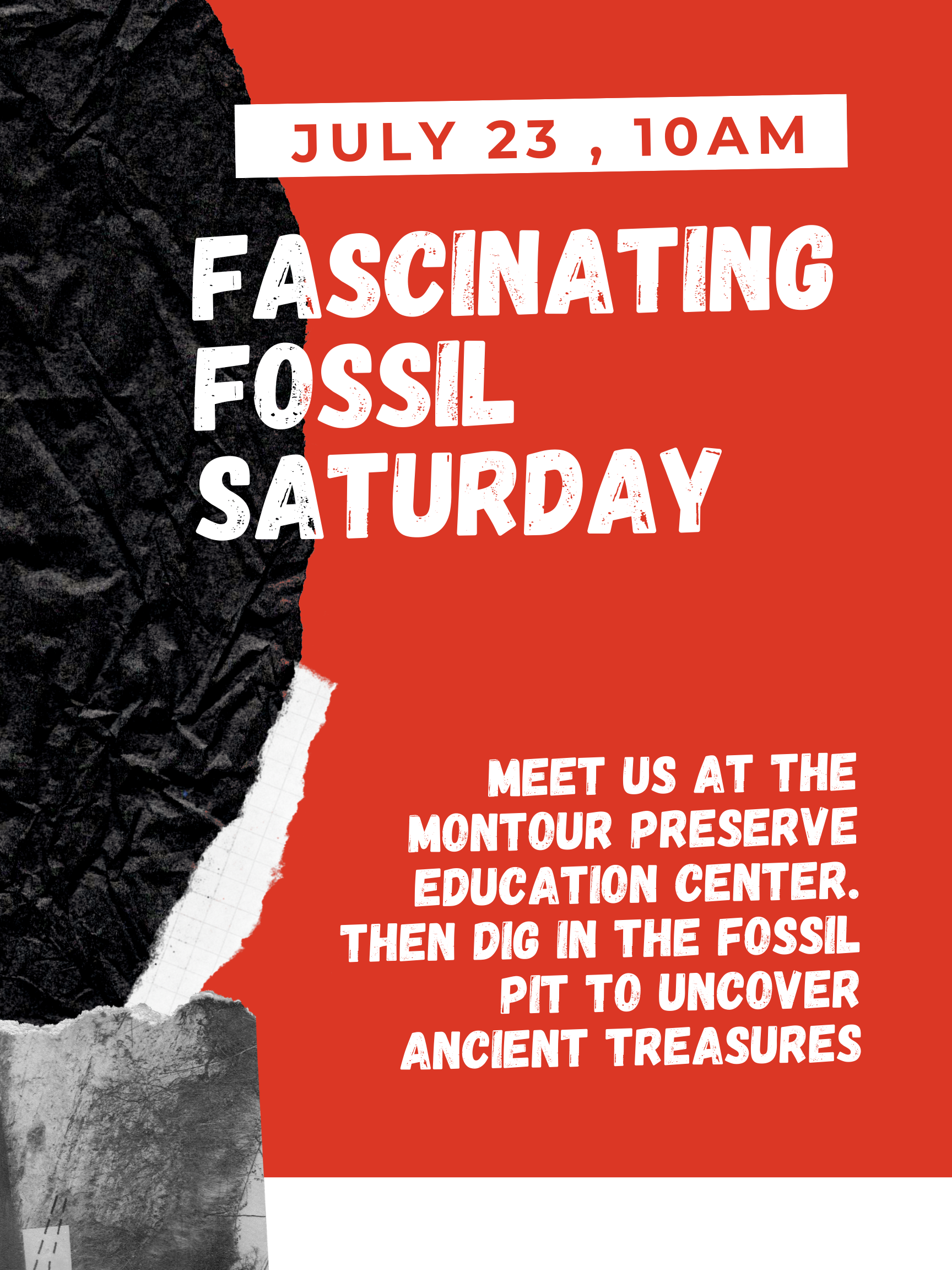 Read more about the article Fascinating Fossil Saturday
