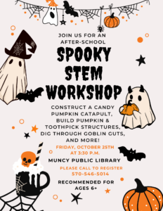 Read more about the article Spooky STEM